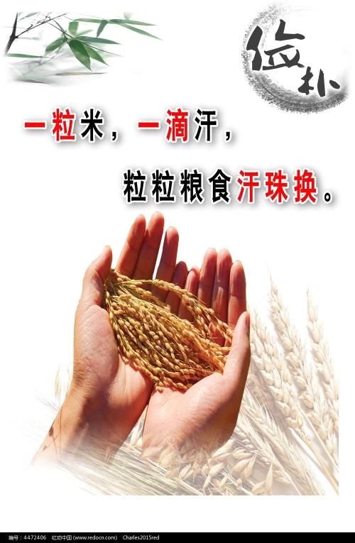 卡利亚里大学 Design degree certificate